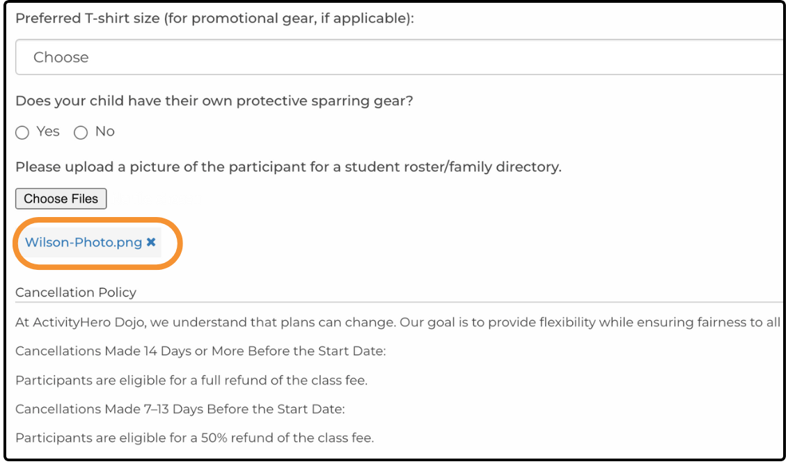 Completed registration form with the uploaded file link highlighted below Choose Files