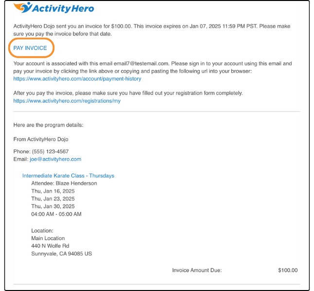 Invoice email sent to the customer with PAY INVOICE highlighted